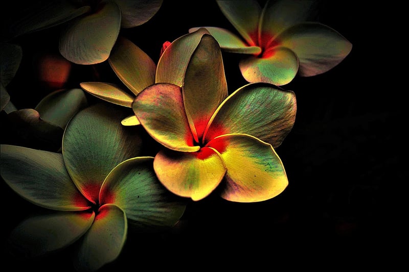 Mindfulness and Relaxation